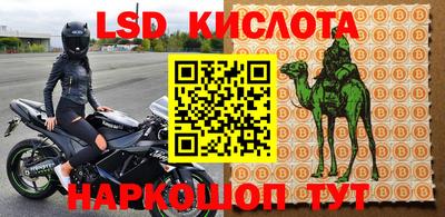 прущие грибы Аргун