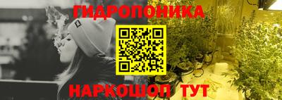 прущие грибы Аргун