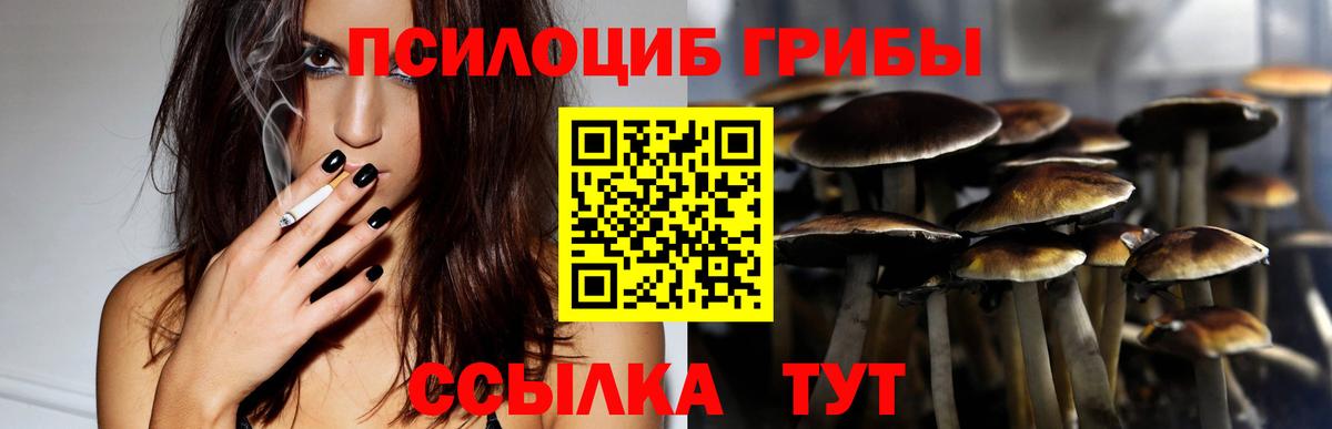 Баксан  Галлюциногенные грибы Cubensis  Вход с VPN  Галлюциногенные грибы Psilocybe 
